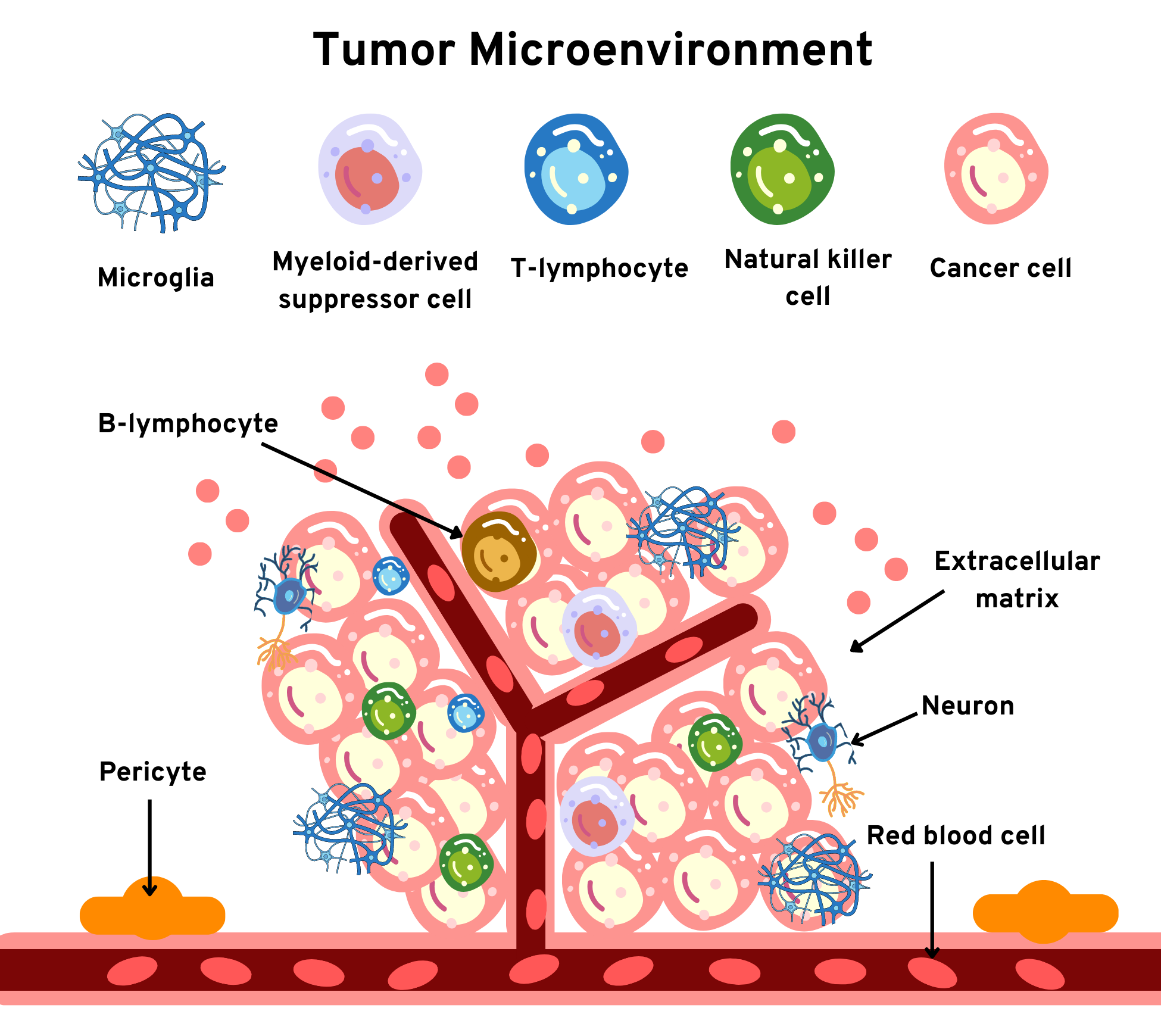 Is Oncolytic Virotherapy a permanent cure for malignant gliomas ...